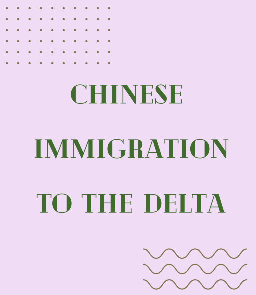 Chinese Immigration to the&nbsp;Delta